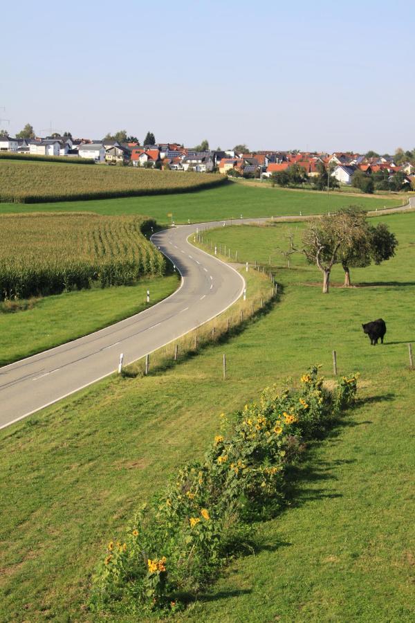 Traubshof Apartment Ochsenhausen Luaran gambar